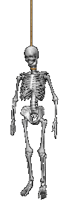 Terry, the Nothing Legal skeleton mascot